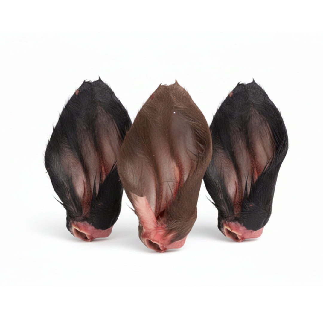 Raw Beef Cow Ears