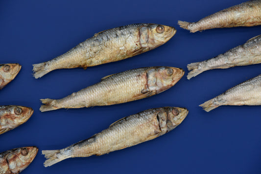 Freeze Dried Raw Sardines - NEW
