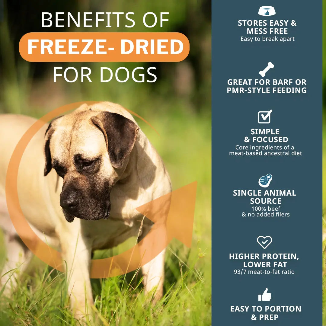 Dog standing in grass with text on freeze-dried benefits for dogs