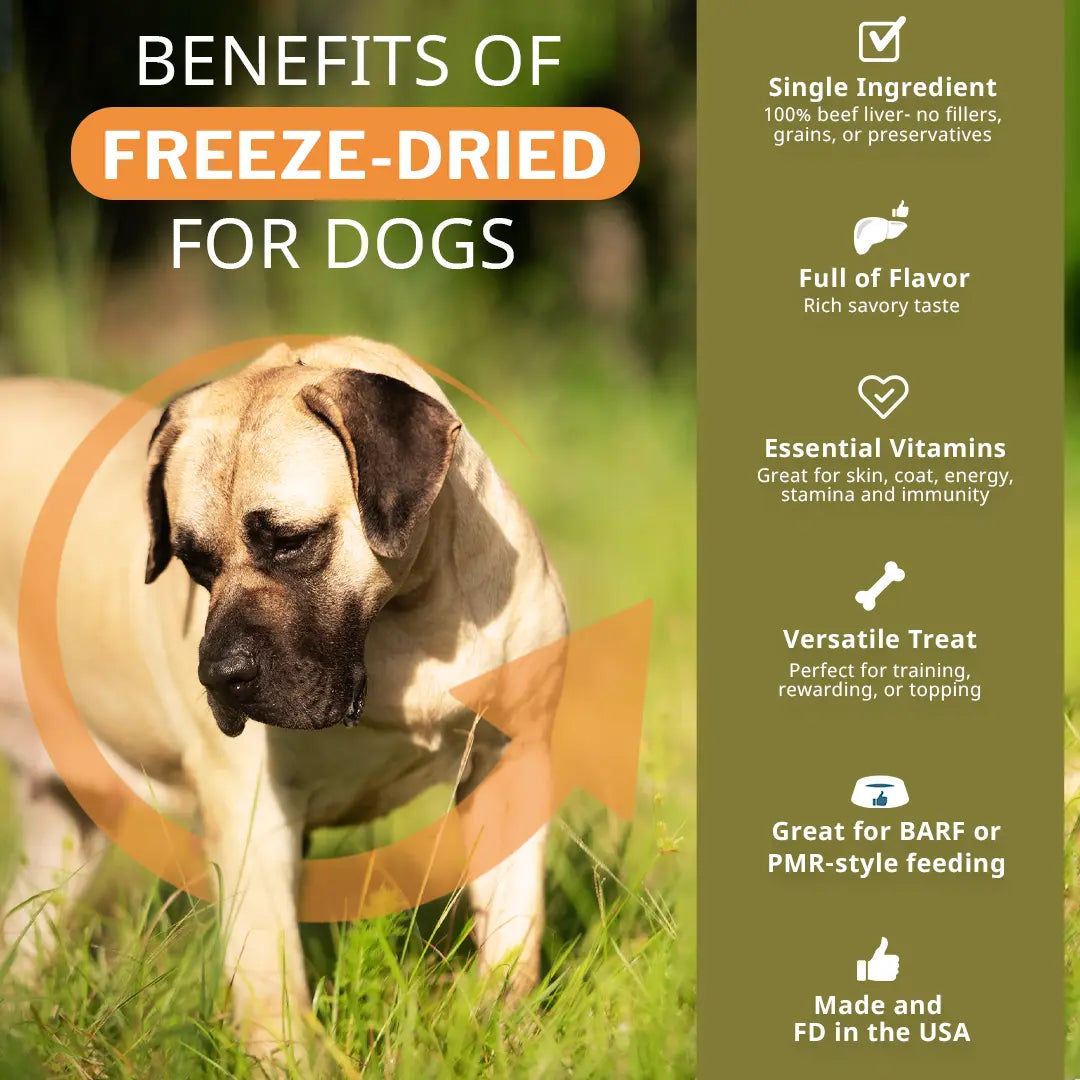 Dog standing in grass with text on freeze-dried benefits for dogs