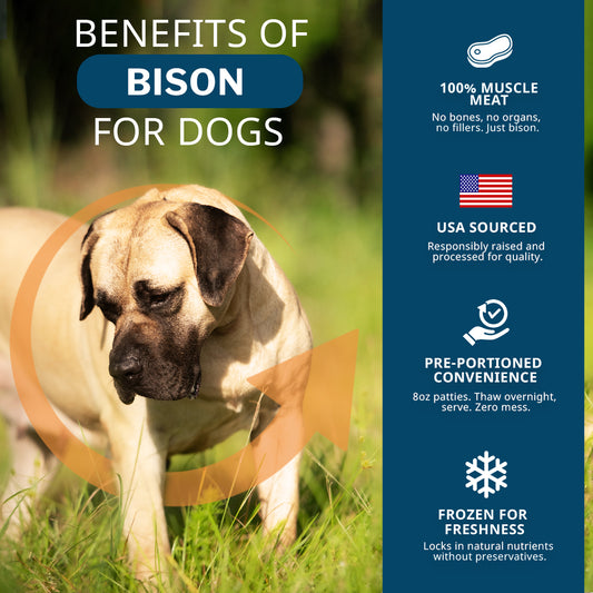 Bison Frozen Raw Dog Food Patties