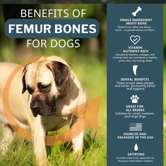 benefits of femur bones for dogs