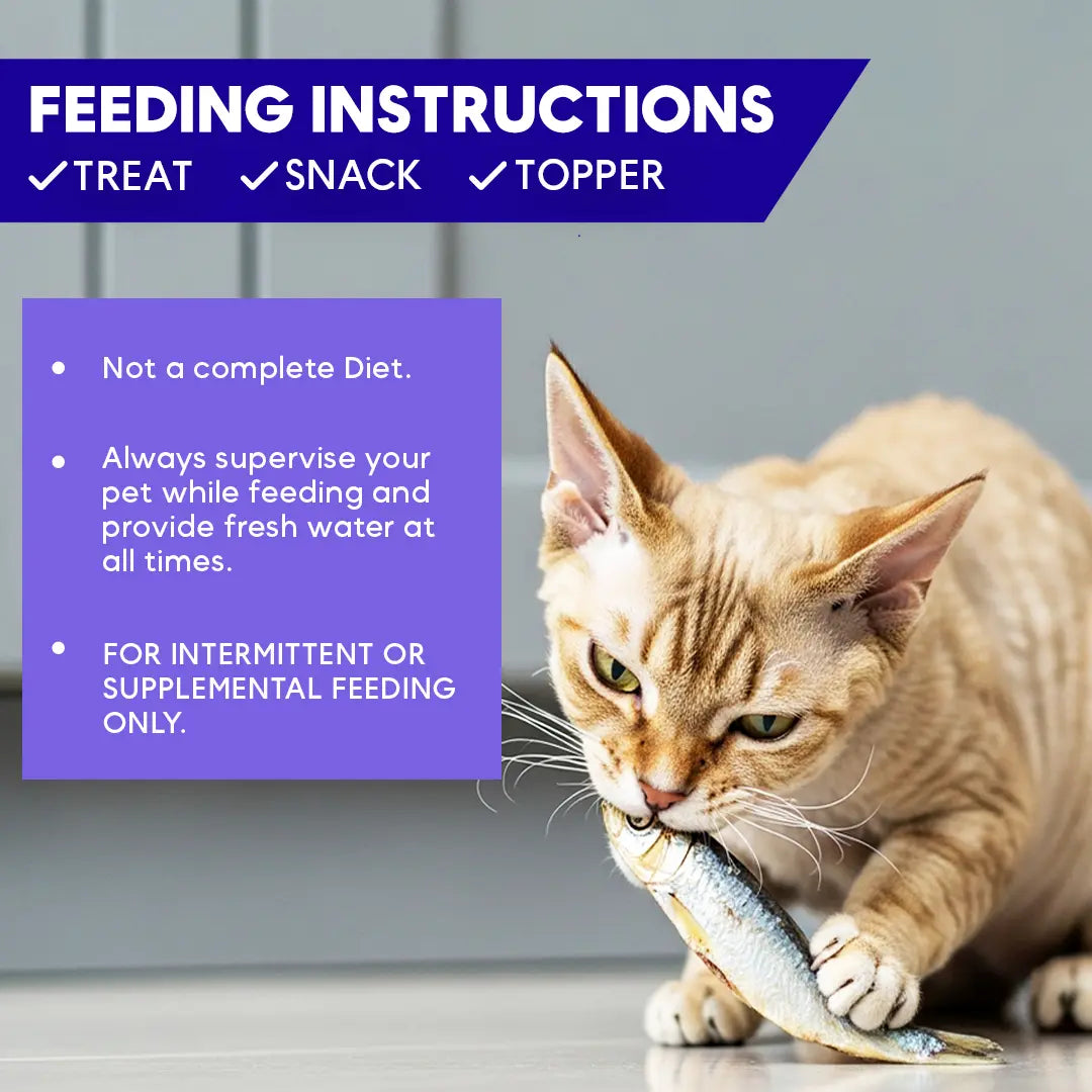 Cat eating a fish with feeding instructions displayed on a purple background