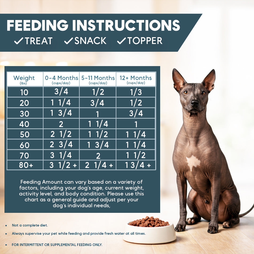 Feeding instructions chart for a dog with a sitting dog and bowl of food on a light background