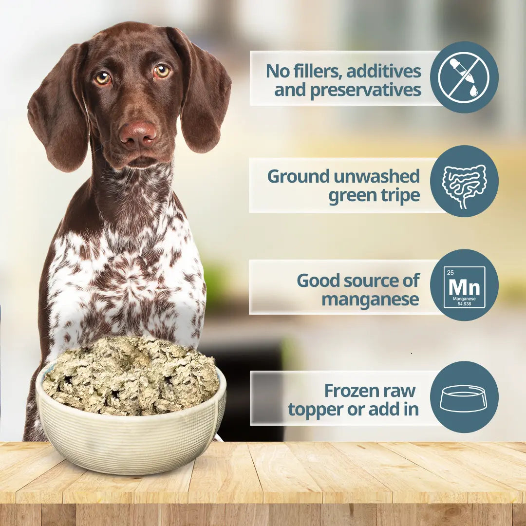 Dog with a bowl of frozen raw pet food on a wooden table, with text highlighting benefits.