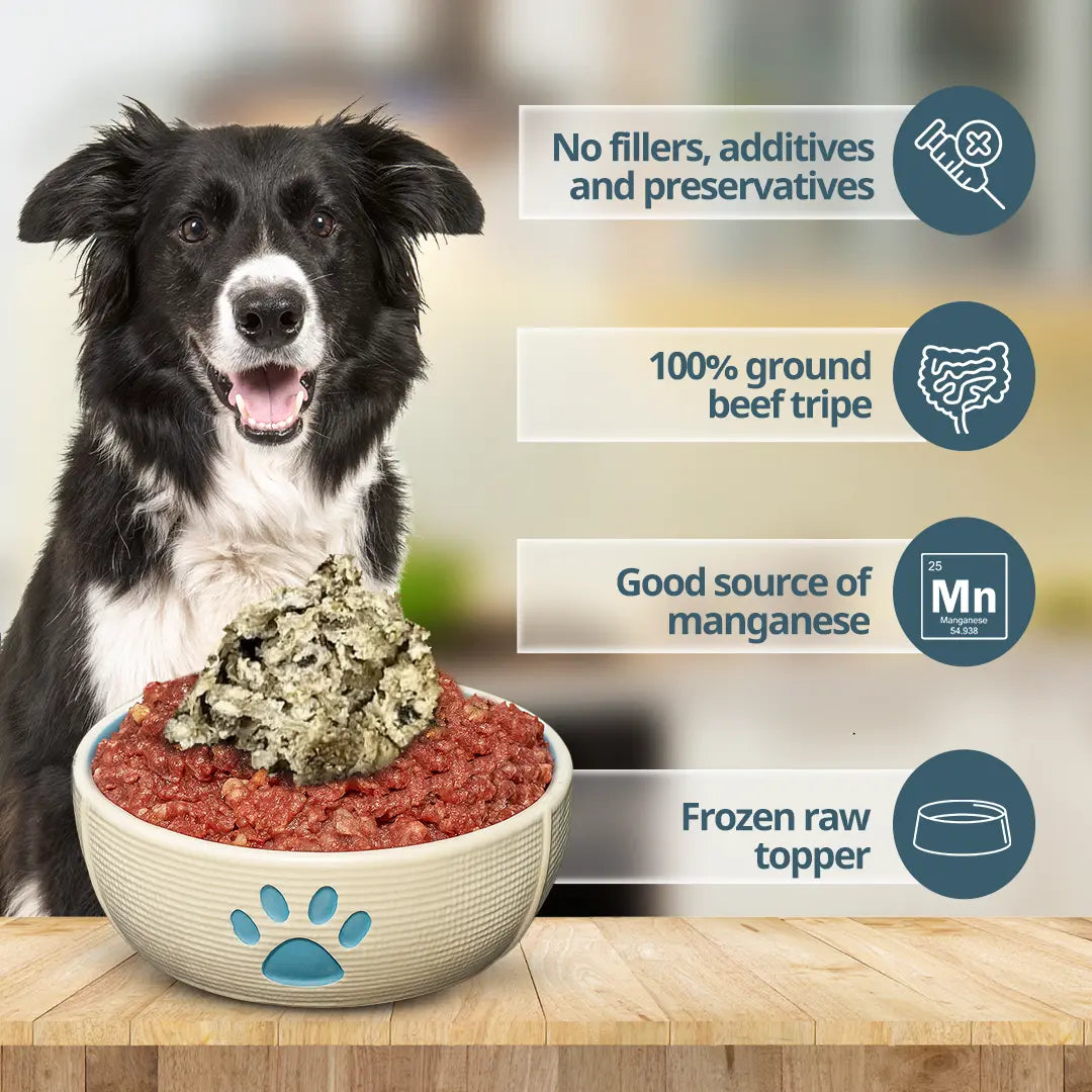 A dog with a bowl of raw dog food and a detailed list of the product's features.