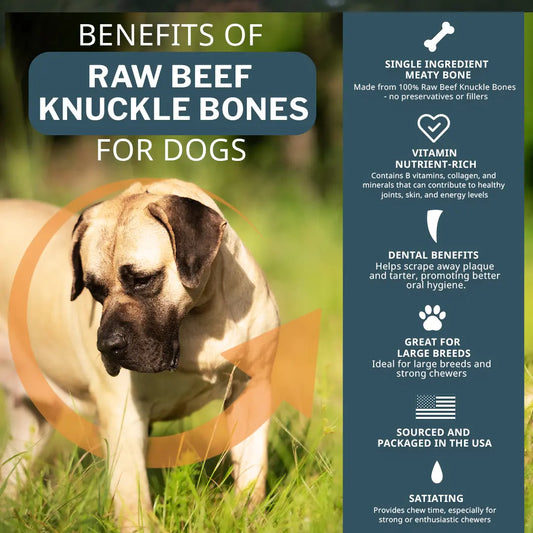 Raw Beef Knuckle Bones
