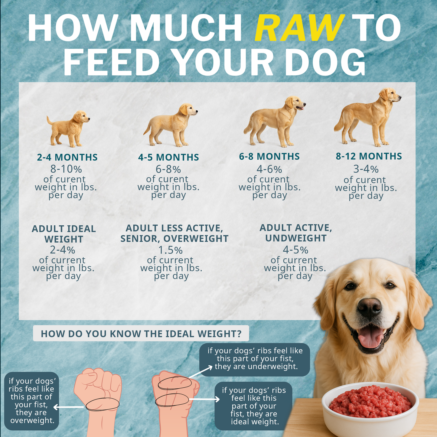 how much raw dog food to feed your dog