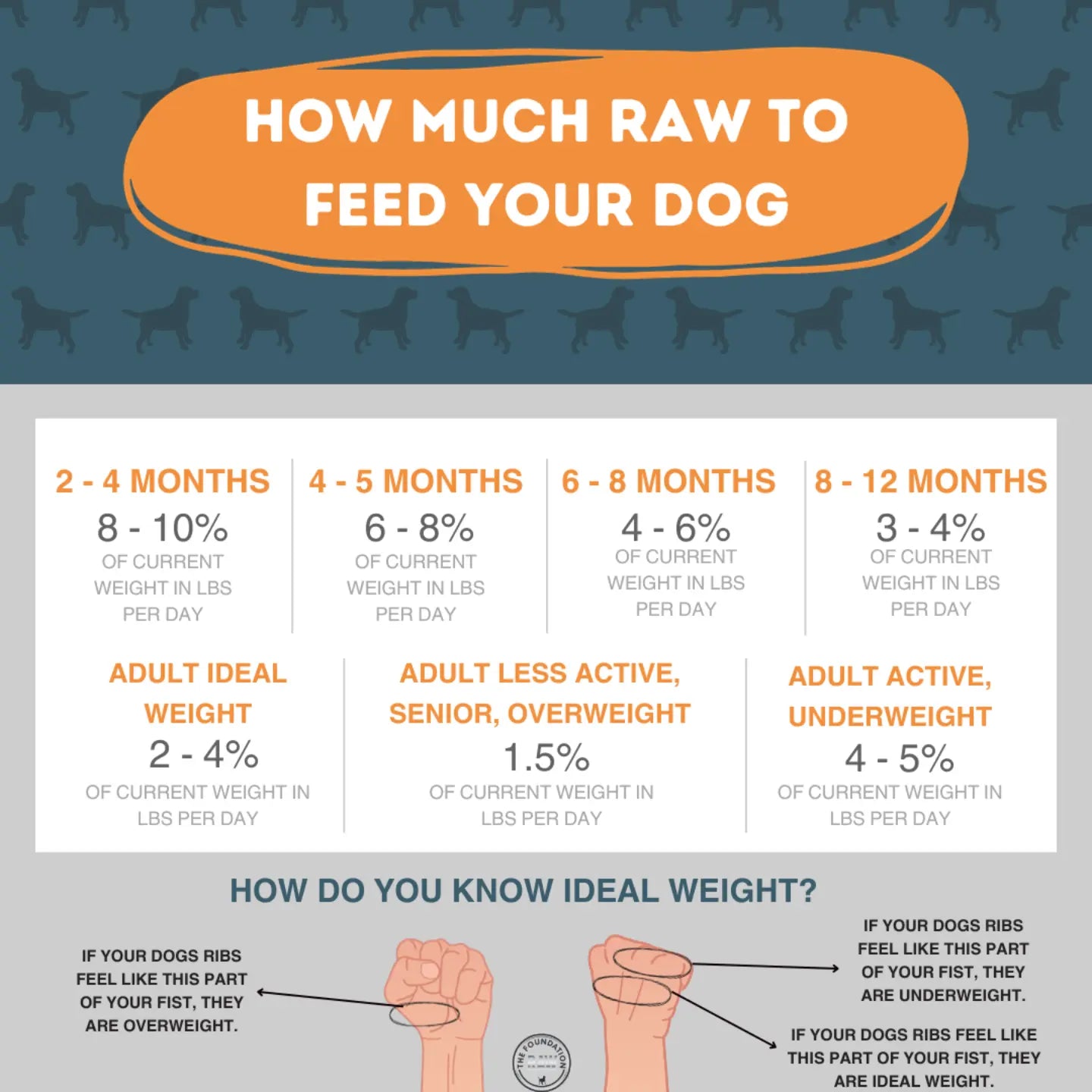 how much raw dog food to feed your dog