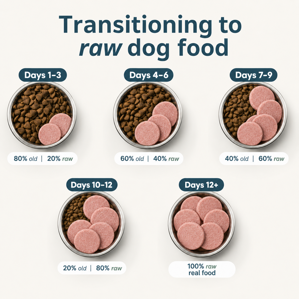 Salmon Frozen Raw Dog Food Patties