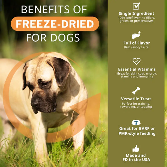 Dog standing in grass with text on freeze-dried benefits for dogs