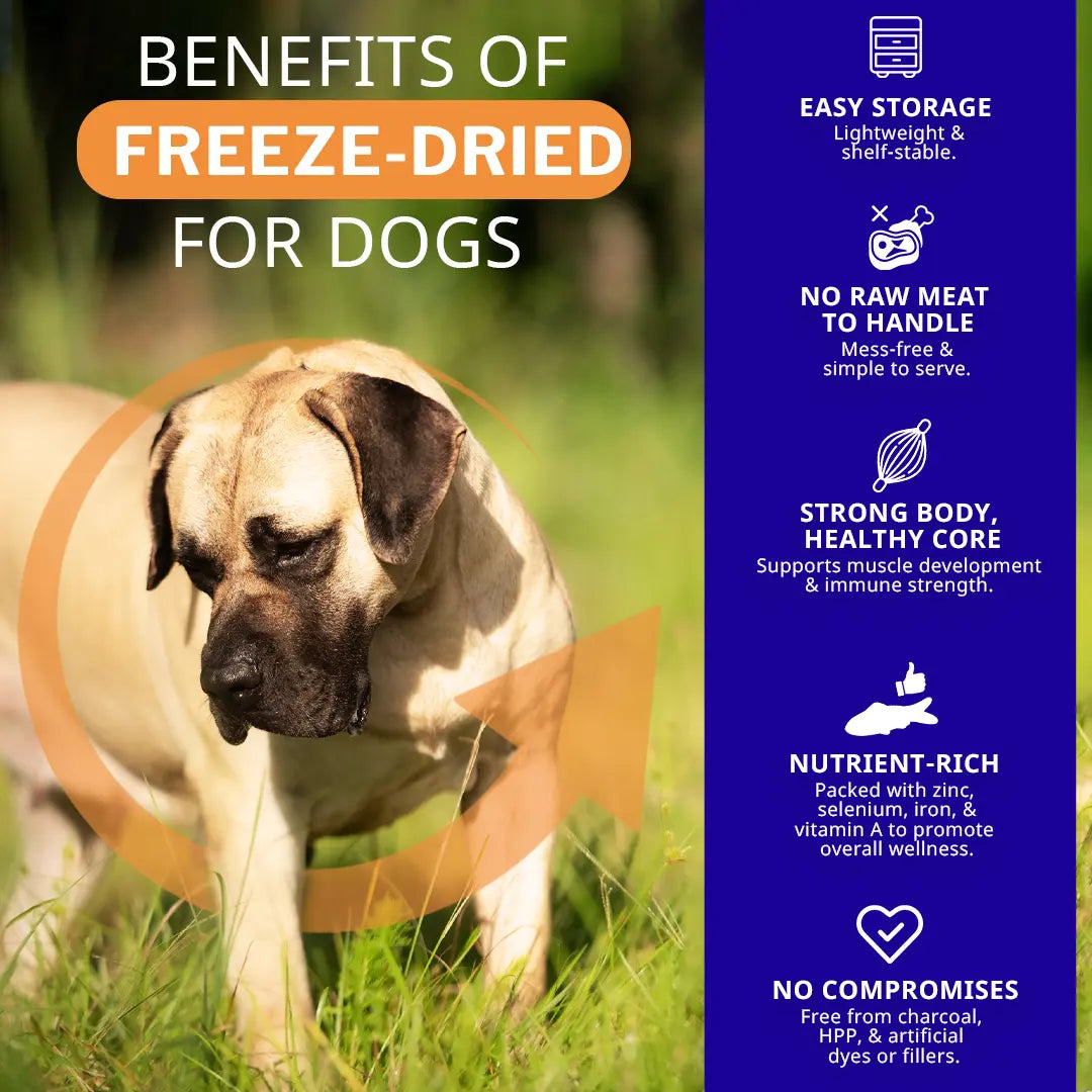 Dog standing in grass with benefits of freeze-dried food for dogs on a blue sidebar