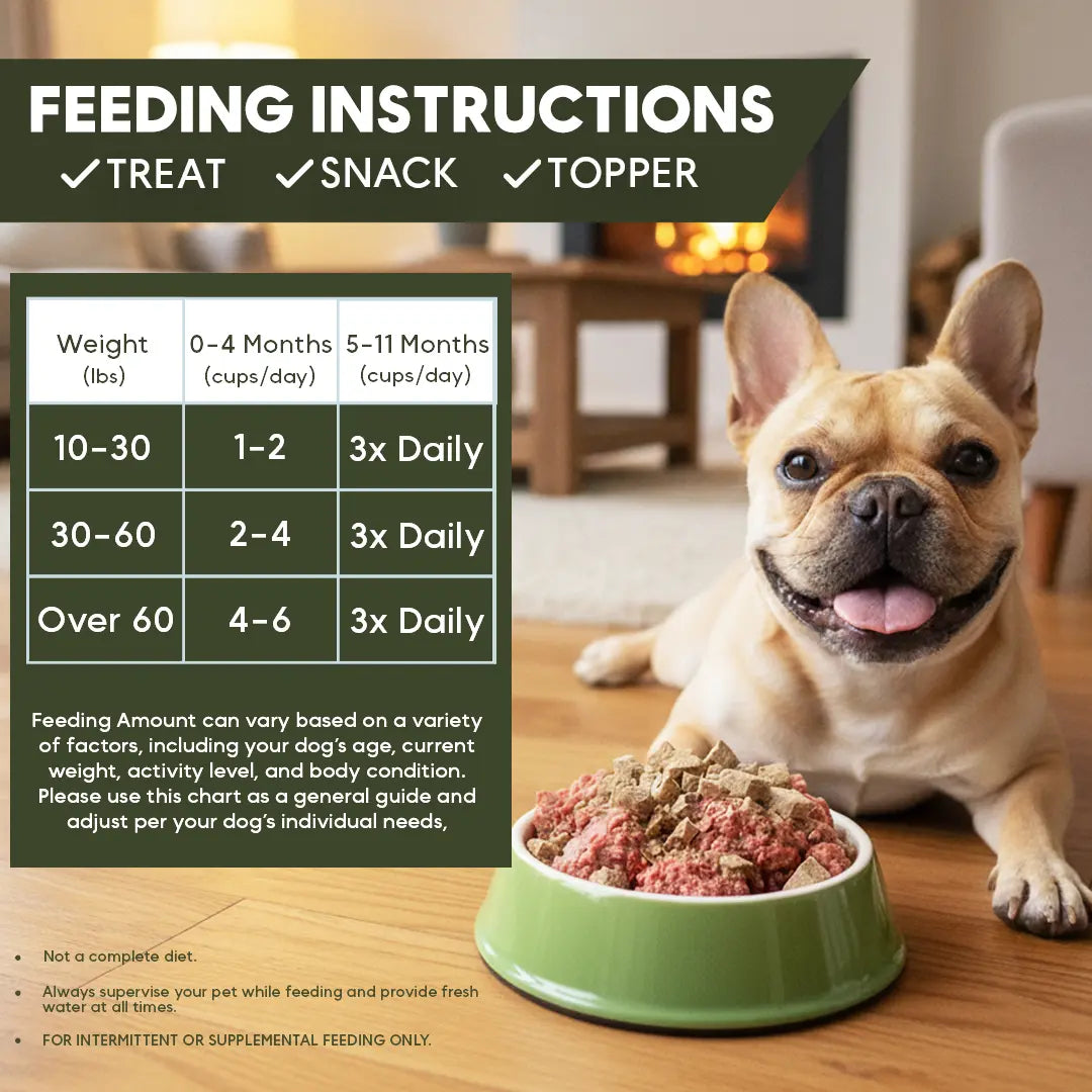 Dog sitting next to a bowl of food with feeding instructions displayed.