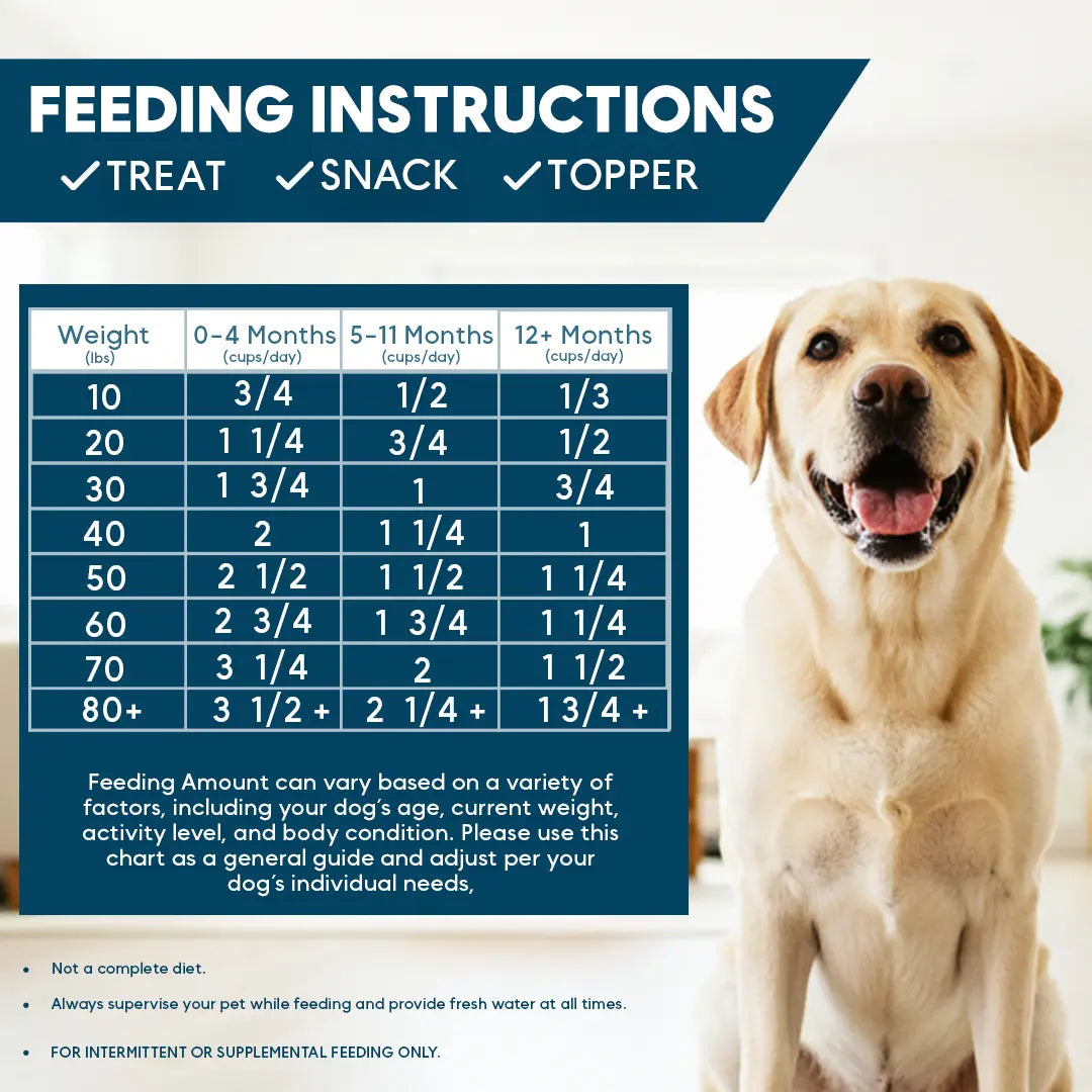 Feeding instructions chart for dogs with a smiling dog on a white background