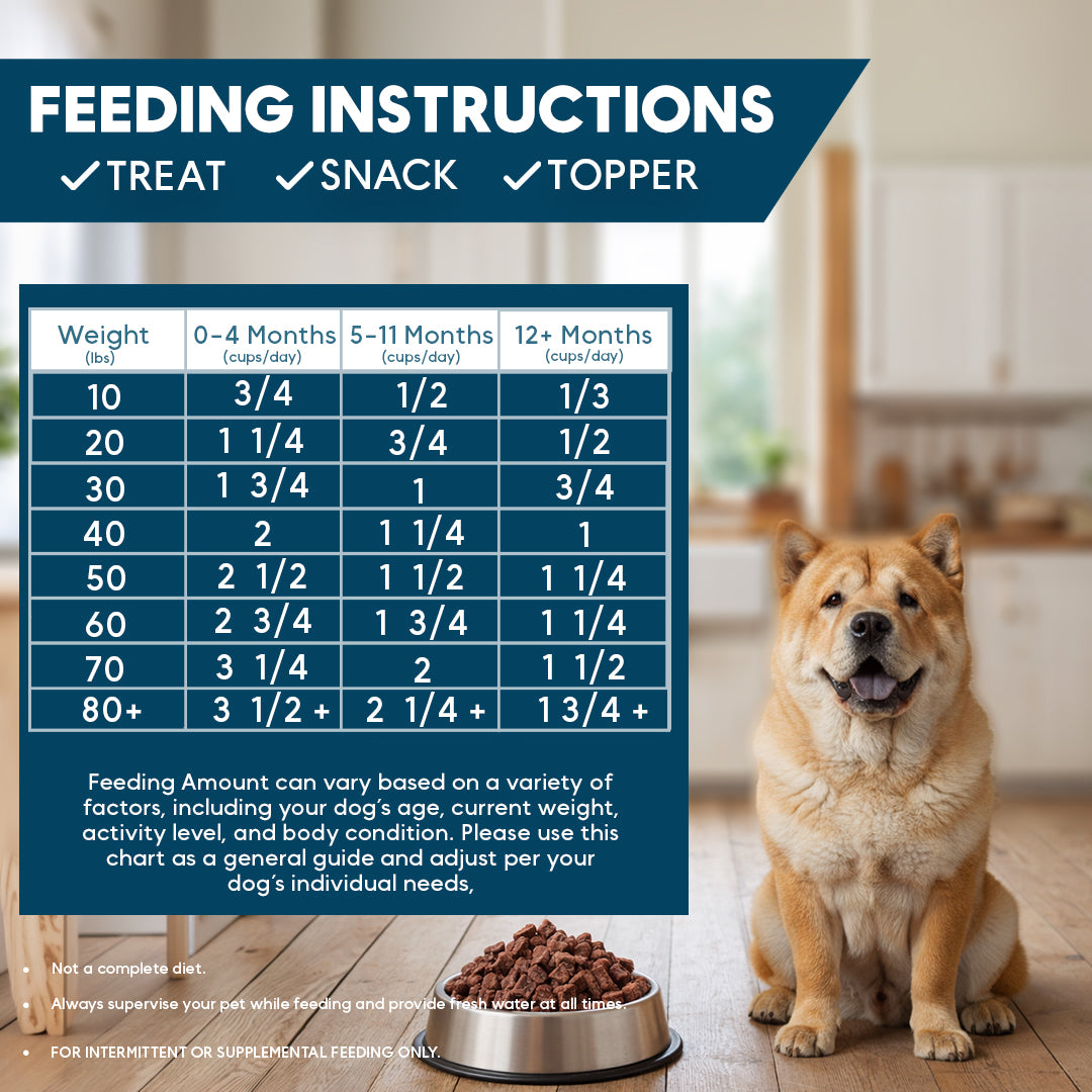 Feeding instructions chart for dogs with a dog sitting next to a bowl of food in a kitchen.