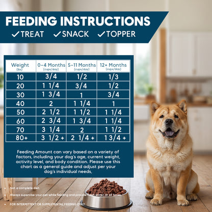Feeding instructions chart for dogs with a dog sitting next to a bowl of food in a kitchen.