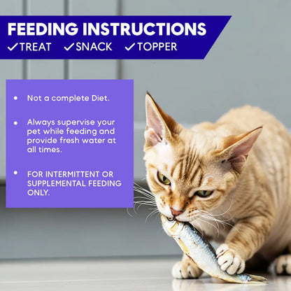 Cat eating a fish with feeding instructions displayed on a purple background
