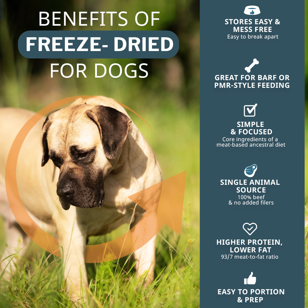 Freeze Dried Premium Blend Dog Food