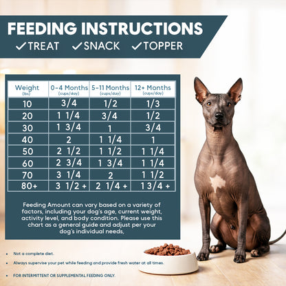 Feeding instructions chart for a dog with a sitting dog and bowl of food on a light background