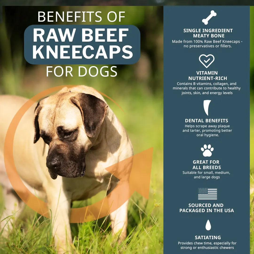 benefits of raw beef kneecaps for dogs