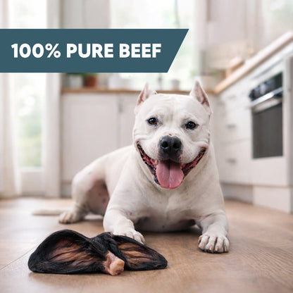 Raw Beef Cow Ears