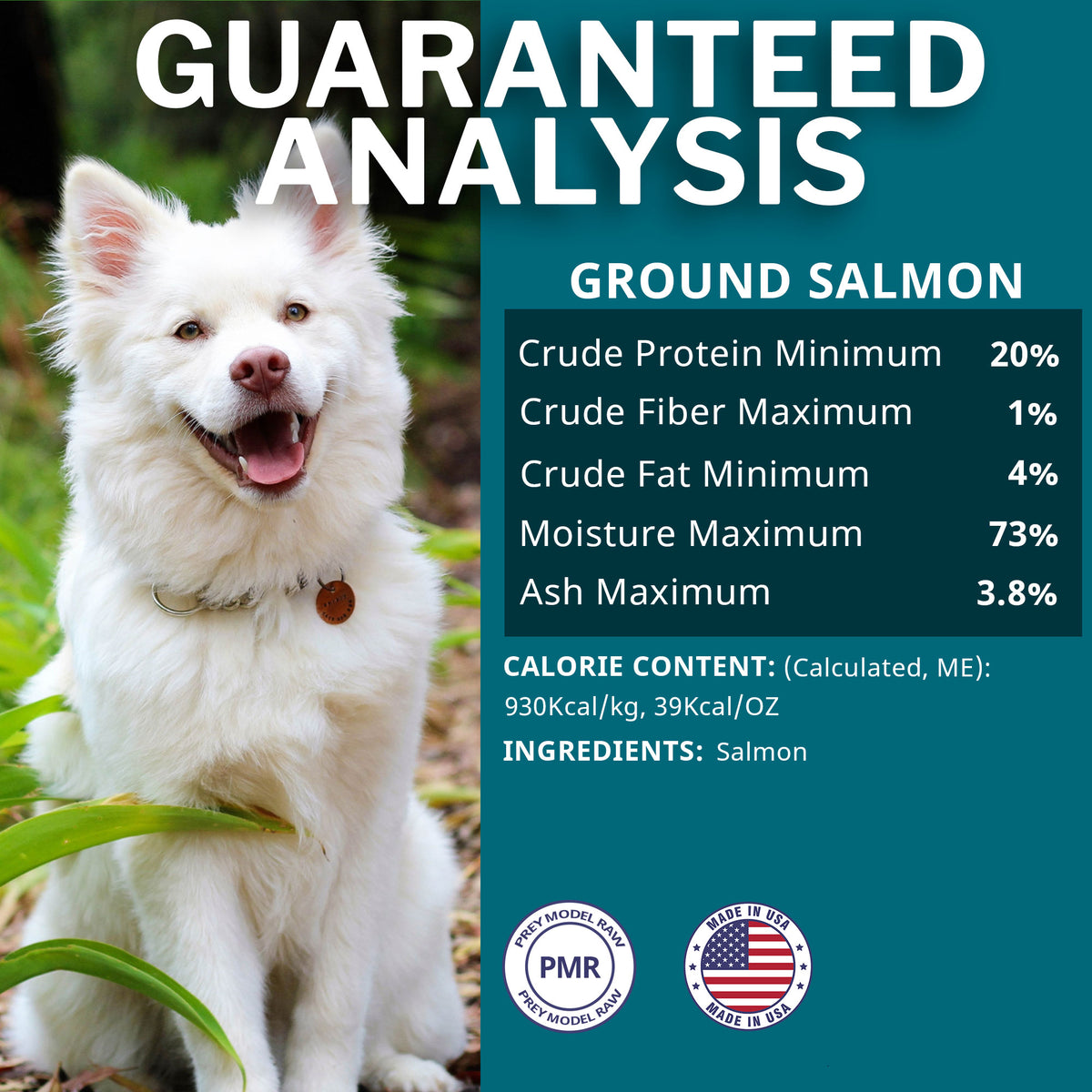 Salmon Frozen Raw Dog Food Patties