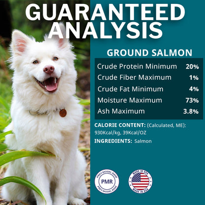 Salmon Frozen Raw Dog Food Patties