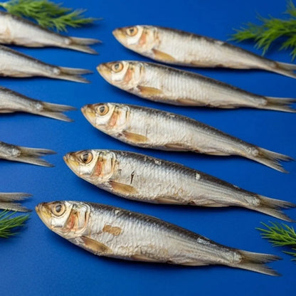 Fish arranged on a blue background with greenery